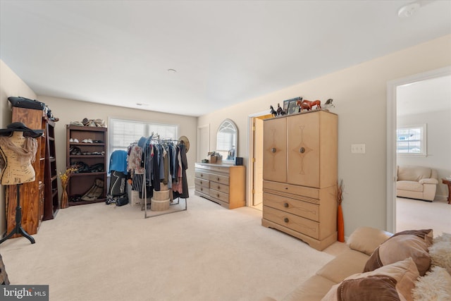 44516 Blueridge Meadows Dr, Ashburn, VA 20147 - bedroom featuring a closet, carpet, and multiple windows