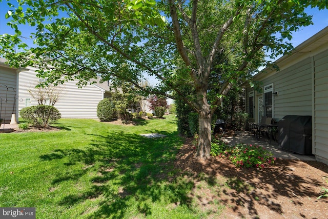 44516 Blueridge Meadows Dr, Ashburn, VA 20147 - view of yard with a patio