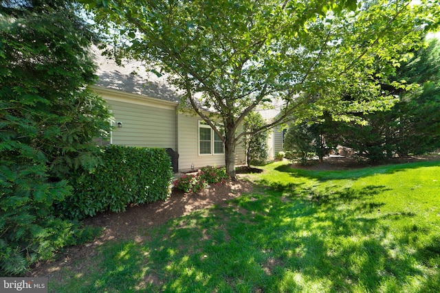 44516 Blueridge Meadows Dr, Ashburn, VA 20147 - view of yard