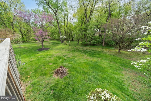 view of yard