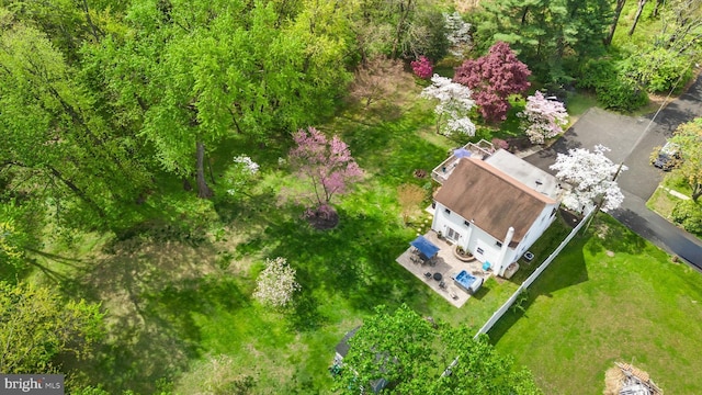 bird's eye view