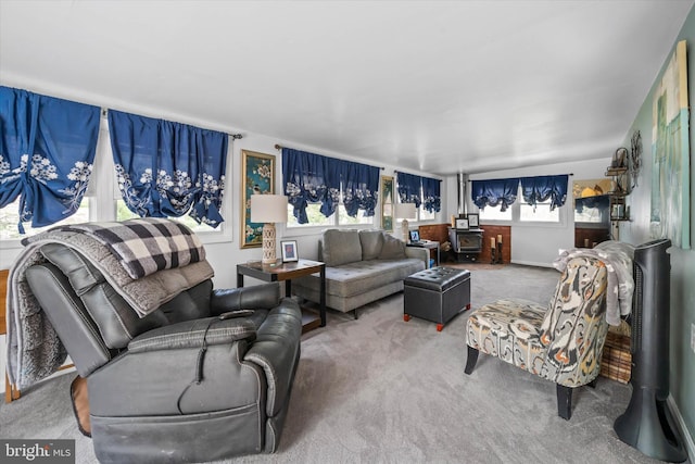 living area featuring carpet flooring and a wood stove