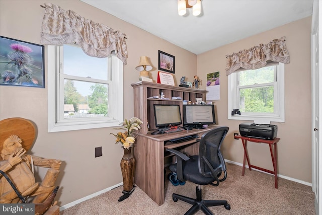 office area featuring baseboards and carpet flooring