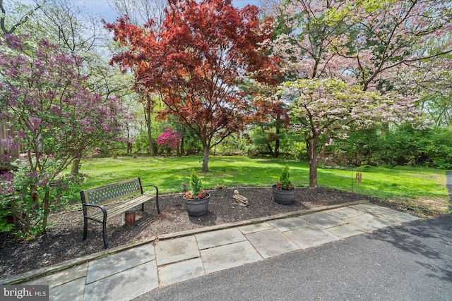 surrounding community with a lawn