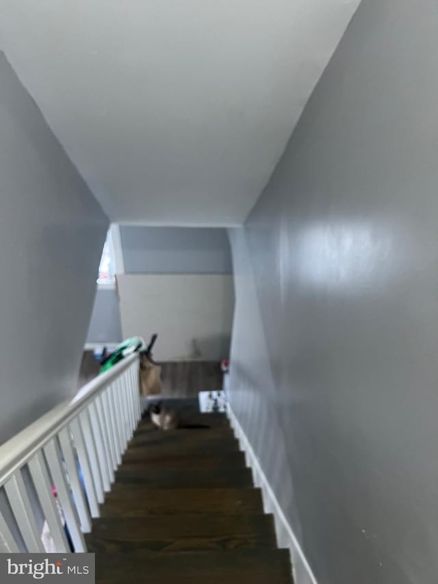 stairway with wood finished floors