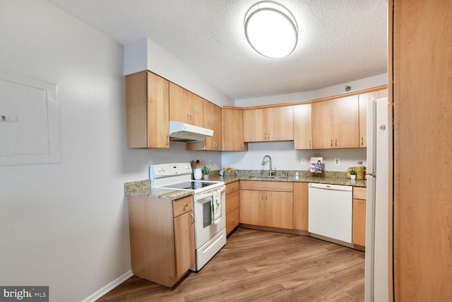 3310 N Leisure World Blvd Unit 1019, Silver Spring, MD 20906 - kitchen featuring white appliances, under cabinet range hood, electric panel, light stone countertops, and light wood-style floors