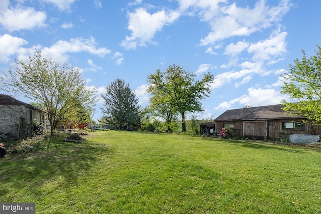 view of yard