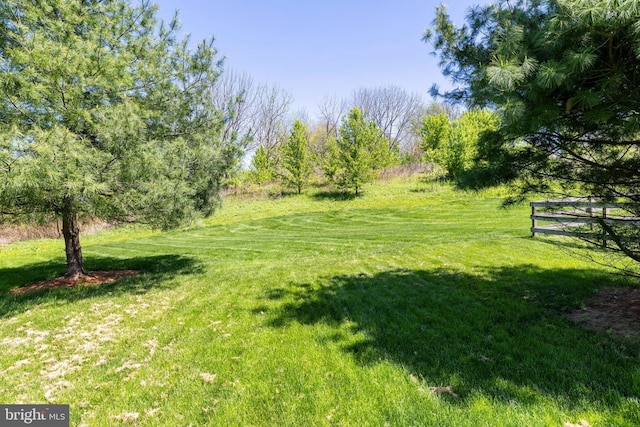 view of yard