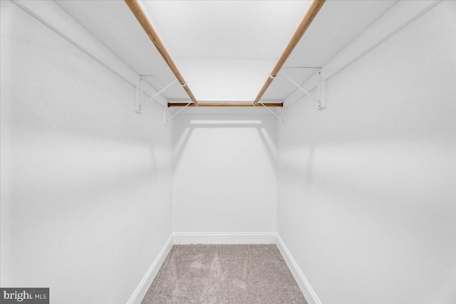 605 Northside Ave, Richmond, VA 23222 - spacious closet featuring carpet floors