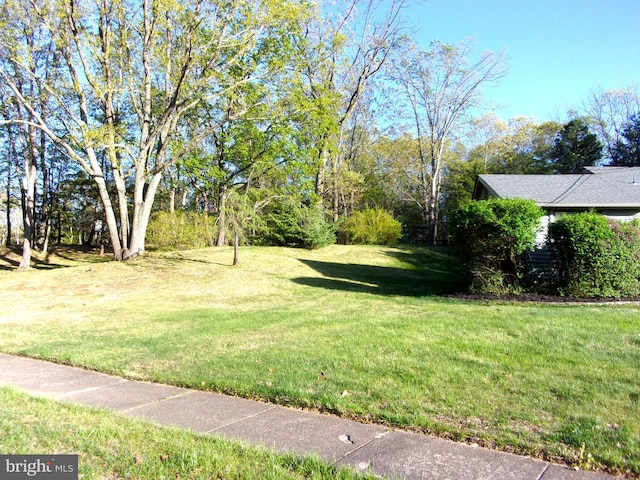 view of yard