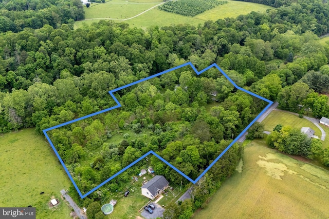 3909 Stoney Creek Rd, Edinburg, VA 22824 - aerial view of property and surrounding area featuring property parcel outlined
