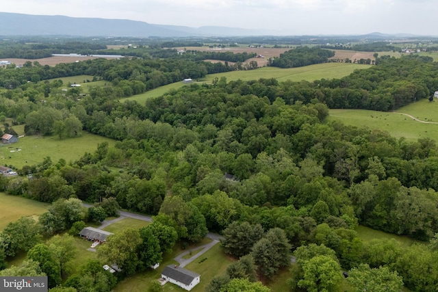 3909 Stoney Creek Rd, Edinburg, VA 22824 - view of rural area featuring a heavily wooded area