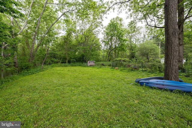 3909 Stoney Creek Rd, Edinburg, VA 22824 - view of green lawn