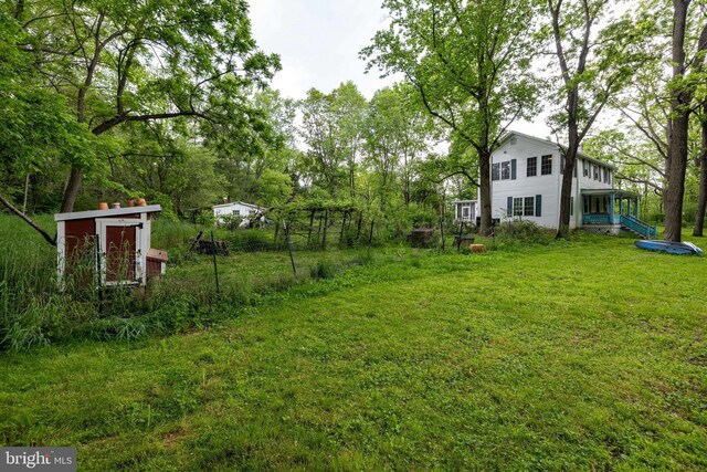 3909 Stoney Creek Rd, Edinburg, VA 22824 - view of green lawn with view of scattered trees