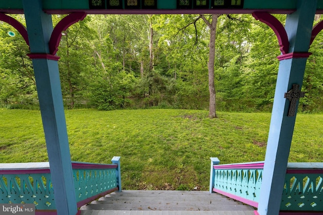 3909 Stoney Creek Rd, Edinburg, VA 22824 - view of green lawn