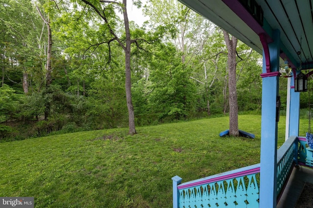 3909 Stoney Creek Rd, Edinburg, VA 22824 - view of green lawn with a view of trees
