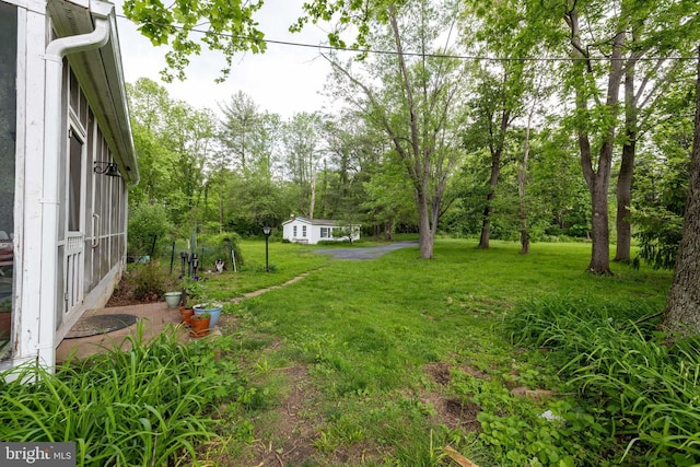 3909 Stoney Creek Rd, Edinburg, VA 22824 - view of green lawn featuring view of wooded area