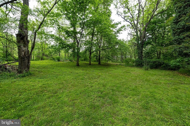 3909 Stoney Creek Rd, Edinburg, VA 22824 - view of grassy yard with a forest view