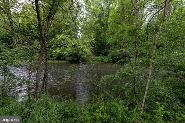 3909 Stoney Creek Rd, Edinburg, VA 22824 - water view featuring a forest