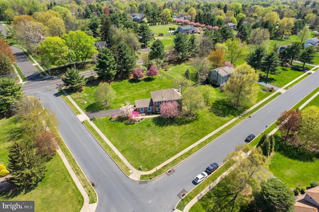 aerial view