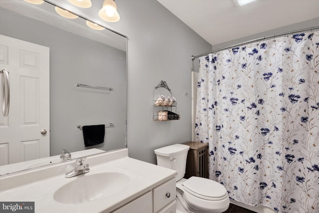 full bath featuring vanity, a shower with curtain, and toilet