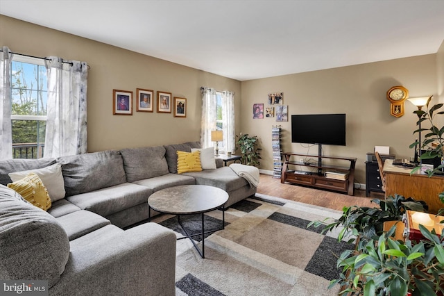 living area featuring baseboards, wood finished floors, and a healthy amount of sunlight