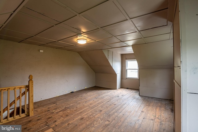 additional living space featuring wood-type flooring