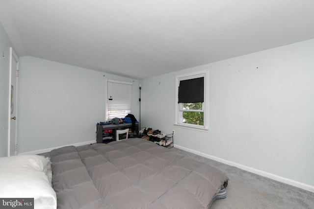 43 Churchill Rd, Cherry Hill, NJ 08034 - bedroom with vaulted ceiling, baseboards, and carpet flooring