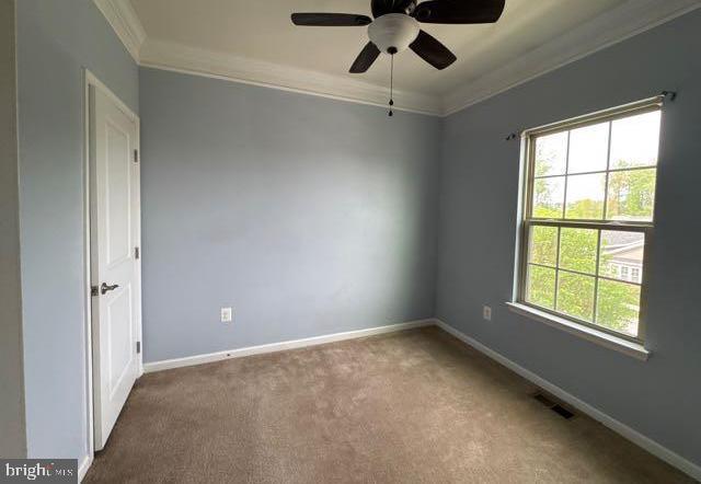 carpeted spare room featuring crown molding, baseboards, and a healthy amount of sunlight