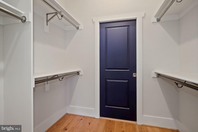 walk in closet with light wood-style flooring
