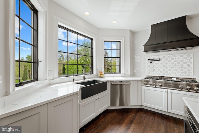kitchen featuring a sink, custom exhaust hood, a healthy amount of sunlight, and stainless steel appliances