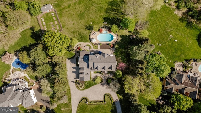 bird's eye view