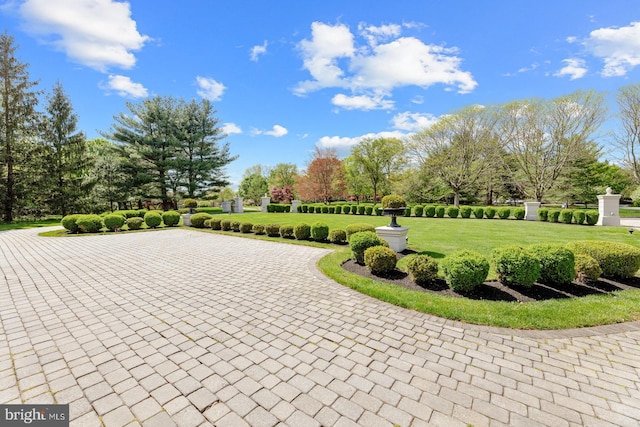 surrounding community featuring a yard
