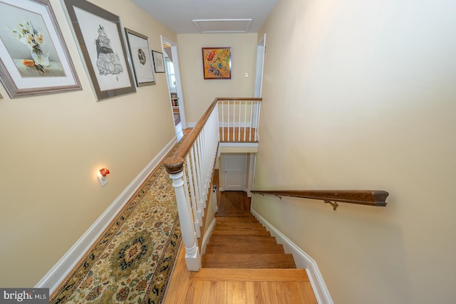 stairway featuring baseboards, wood finished floors, and attic access