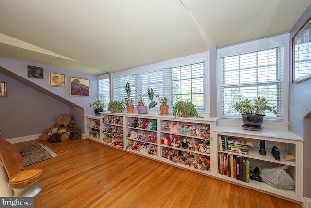 playroom featuring wood finished floors