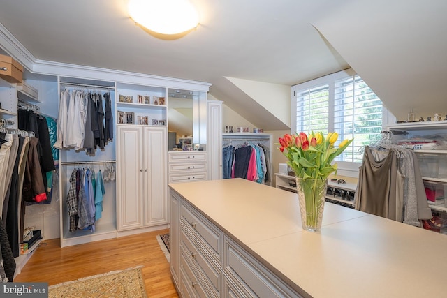 spacious closet with light wood finished floors