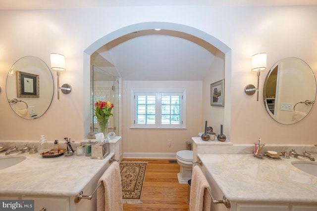 bathroom with vanity, lofted ceiling, wood finished floors, and toilet