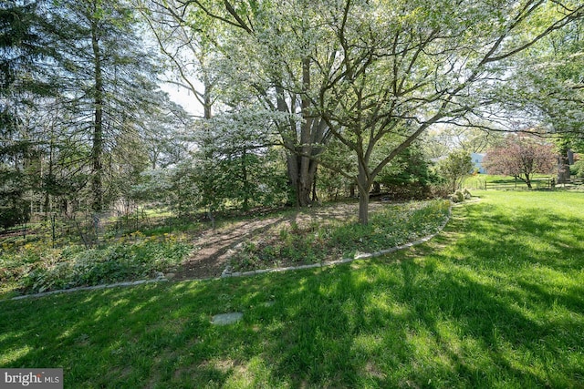 view of yard