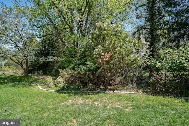 view of yard