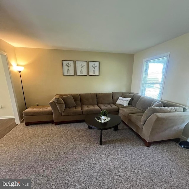 54 Ethel Ave, Hummelstown, PA 17036 - view of carpeted living room