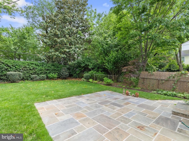 5513 Park St, Chevy Chase, MD 20815 - view of patio