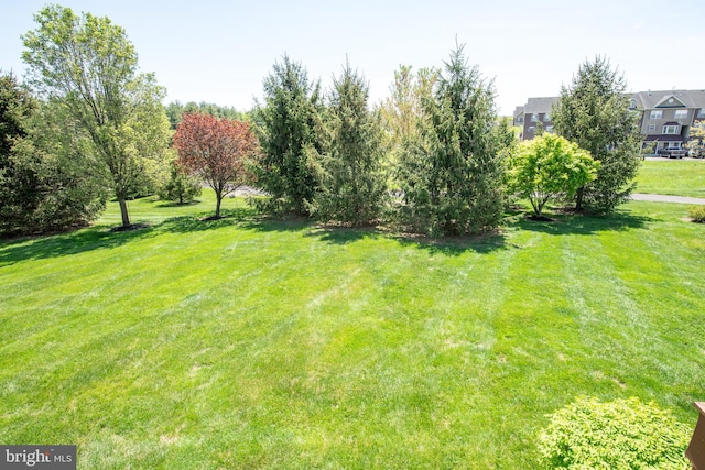view of green lawn