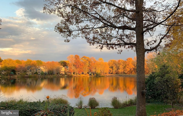 11566 Lake Newport Rd, Reston, VA 20194 - water view