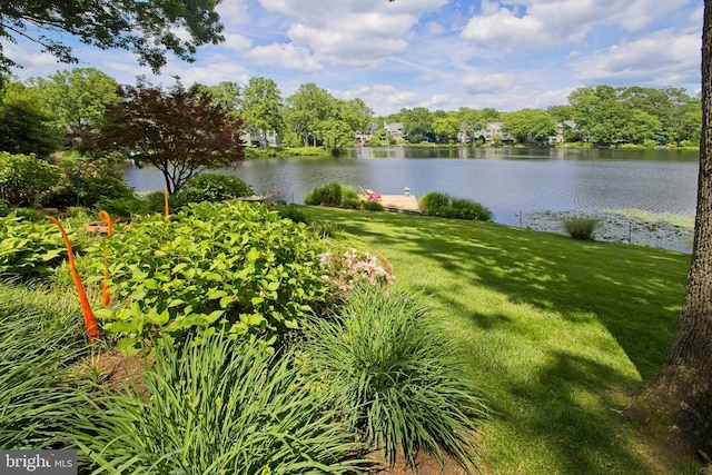11566 Lake Newport Rd, Reston, VA 20194 - water view