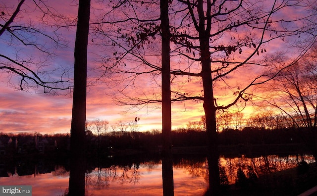 11566 Lake Newport Rd, Reston, VA 20194 - water view