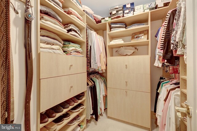 11566 Lake Newport Rd, Reston, VA 20194 - view of spacious closet