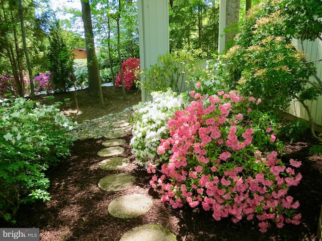 11566 Lake Newport Rd, Reston, VA 20194 - view of yard