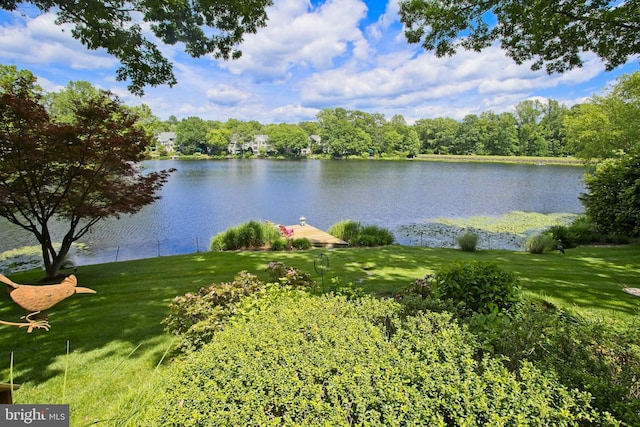 11566 Lake Newport Rd, Reston, VA 20194 - water view with a dock