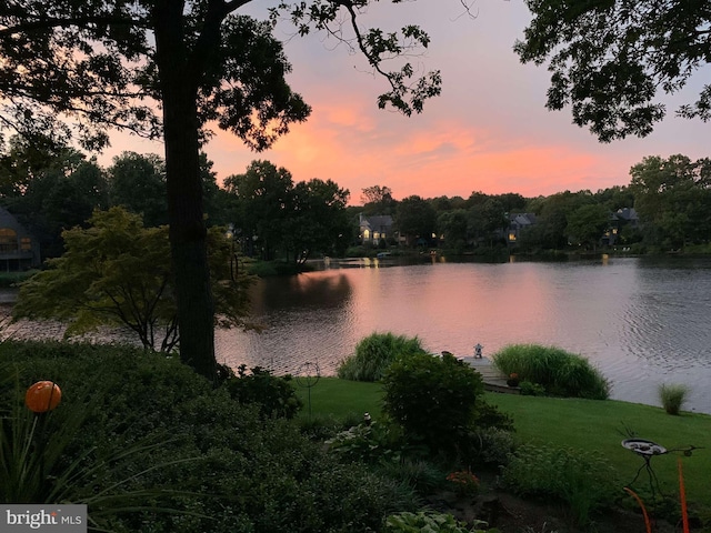 11566 Lake Newport Rd, Reston, VA 20194 - water view