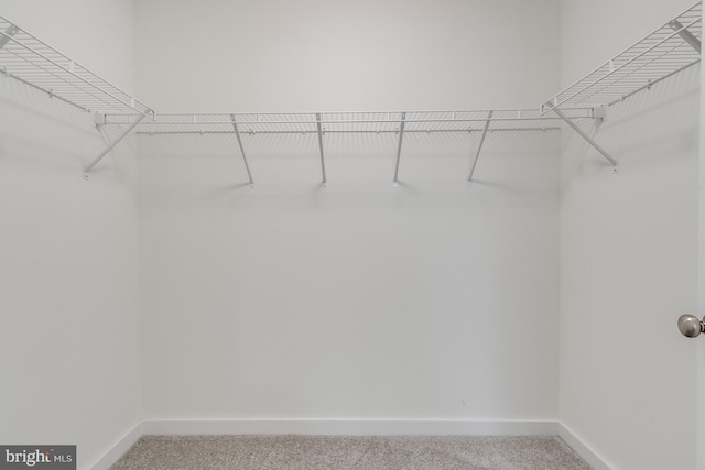 spacious closet with carpet floors